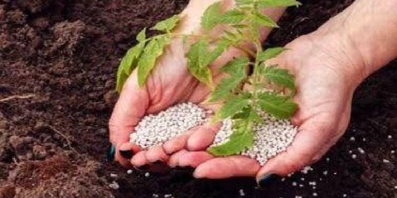 کربنات کلسیم برای خاک با ترکیبات معدنی مفید برای زمین های زراعی